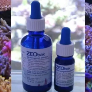 Korallenzucht Zeobak 50 ml Mega-Angebot