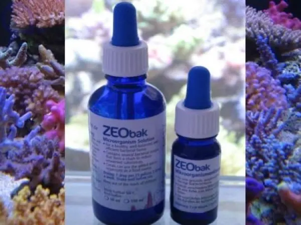 Korallenzucht Zeobak 50 ml Mega-Angebot