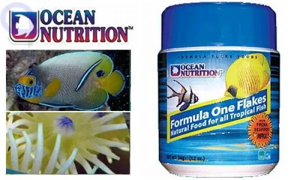 Neue Ware Ocean Nutrition Formula One Flakes 71 g
