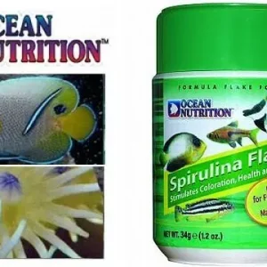 Günstig Ocean Nutrition Spirulina Flakes 34 g