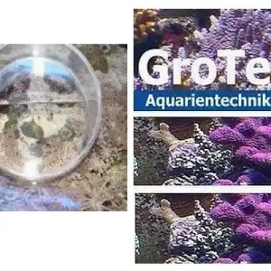 Grotech Reefspy PerfectReef D=150 mm Super-Preis