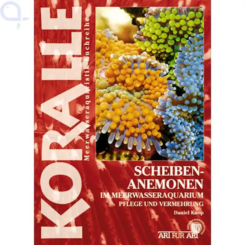 KORALLE Scheibenanemonen im Meerwasser-Aquarium Echt