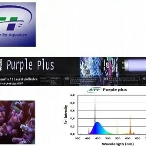 Top-Angebot ATI Purple Plus 39 Watt