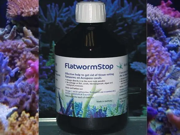 Korallenzucht Flatworm Stop 1000 ml Neu Im Sortiment