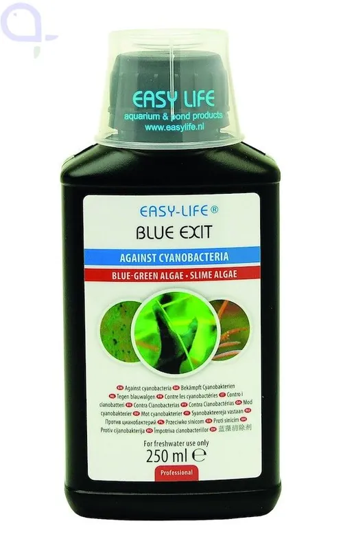 Easy Life Blue Exit 250 ml Top-Angebot