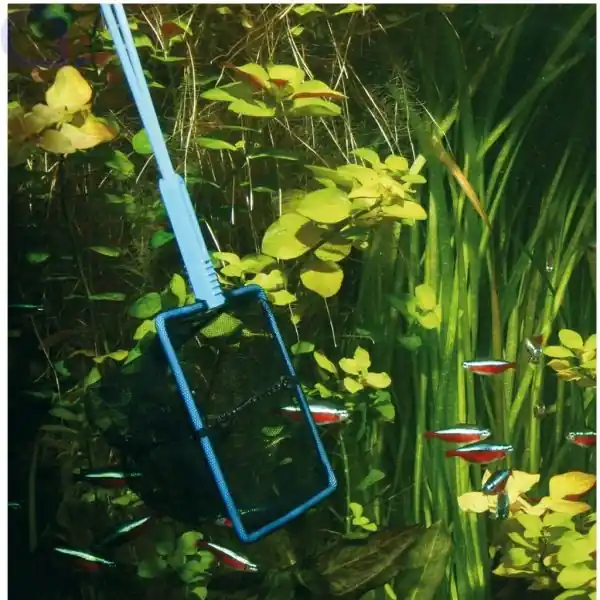 Zertifiziert JBL Fangnetz 8 cm fein
