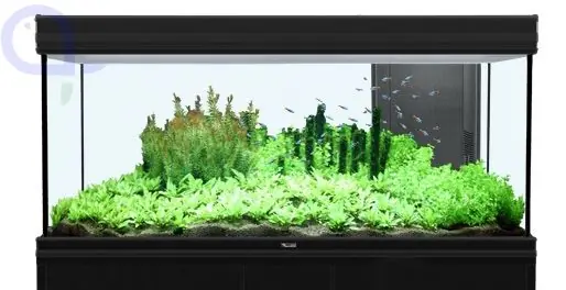 Garantierte Lieferung Aquatlantis Fusion 120x40 Bio LED Komplettaquarium ohne Schrank
