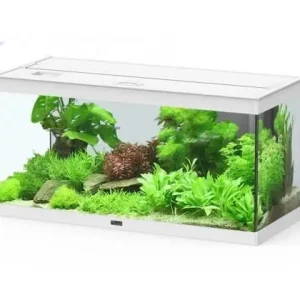 Super-Preis Aquatlantis Style LED 80 Aquarium weiß o. schwarz
