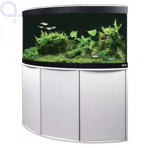 Fluval Venezia 190 Eck Aquariumkombination - Schwarz Meistverkauft
