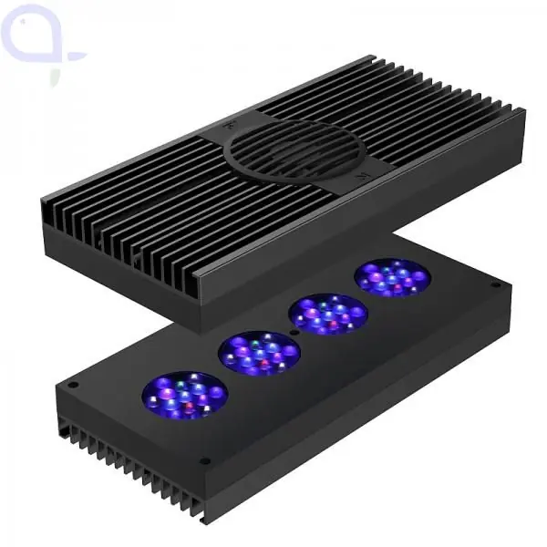 Beliebt AI Hydra HD 64 LED Schwarz