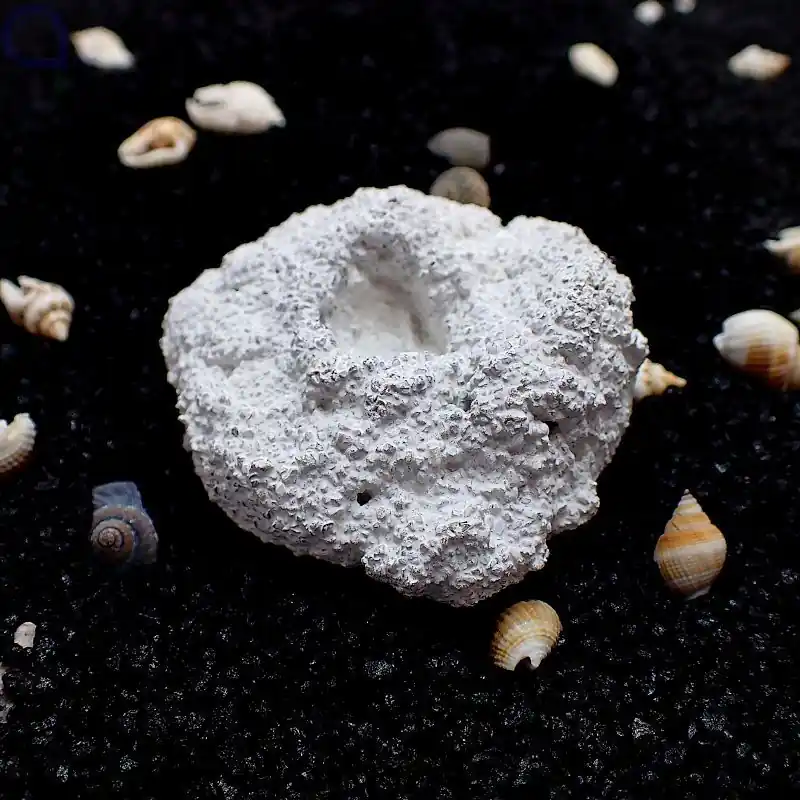 Ablegersteine rund S - 3-5cm - 10 Stück Sichere Zahlung