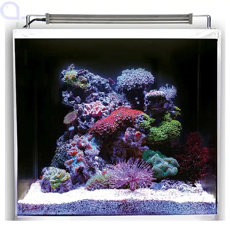 Top-Preis Dupla Marin Ocean Cube 50