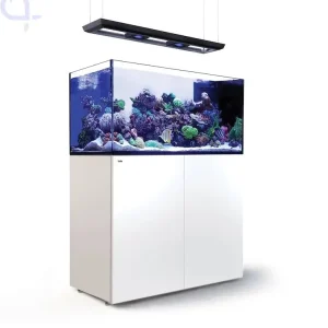 Geprüft Red Sea Reefer Peninsula 500 G3 Deluxe weiß - 2x ReefLed 170