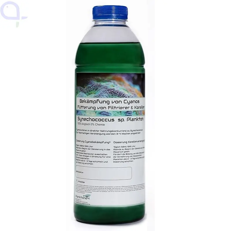 Garantierte Lieferung Plankton24 Synechococcus sp. / Cyanobekämpfung 1 Liter