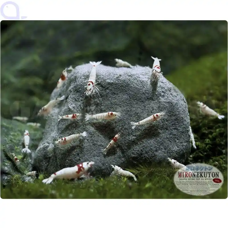 Mironekuton Steine, 300 g Beutel Aktuell