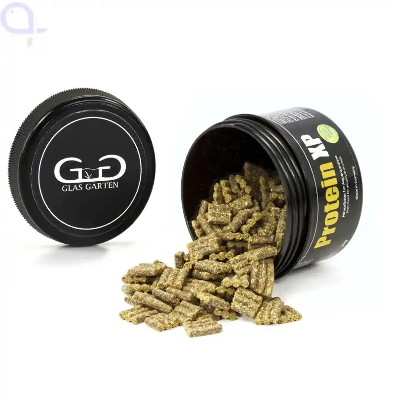 Online Kaufen GlasGarten Protein XP 35 g