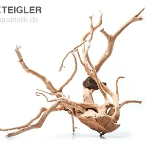 Sonderangebot Stoffels Spiderwood groß, ca. 40-50 cm
