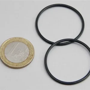 JBL ProCristal i30 O-Ring, 2 Stück Preiswert