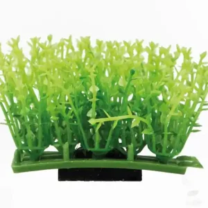 Jetzt Bestellen Hobby Plant Pad 1 Kunstpflanze