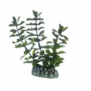 Bestseller Hobby Bacopa, 13 cm