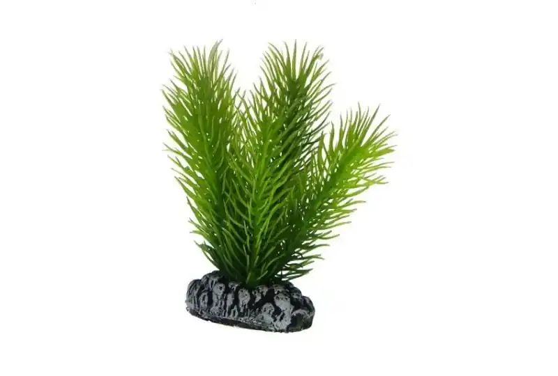 Sale Hobby Mayaca, 7 cm
