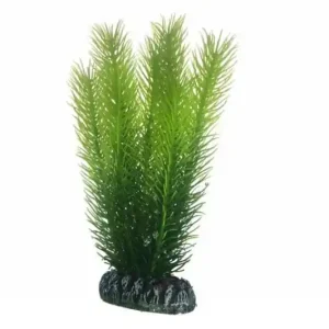 Hobby Mayaca, 16 cm Direkt Vom Hersteller