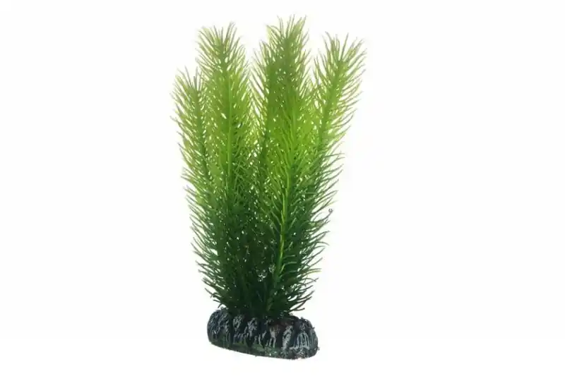 Hobby Mayaca, 16 cm Direkt Vom Hersteller