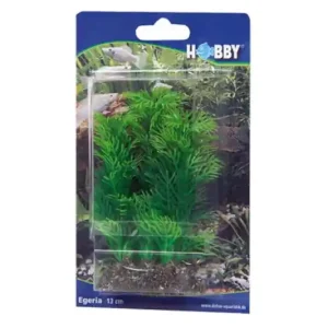 Expressversand Hobby Egeria, 20 cm