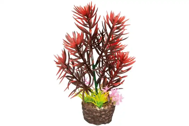 Neuheit Hobby Flora Stone 2