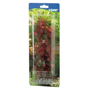 Hobby Ludwigia, 25 cm Solange Der Vorrat Reicht