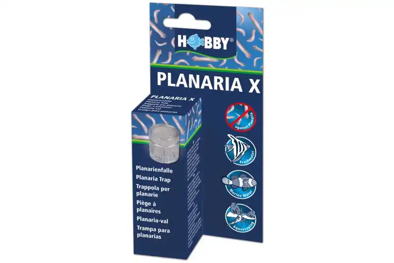 Wochenendangebot Hobby Planaria X, Planarienfalle