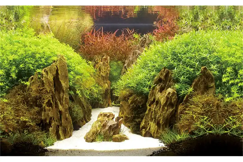 Schneller Versand Hobby Fotorückwandzuschnitt Canyon/Woodland, 100 cm x 50 cm