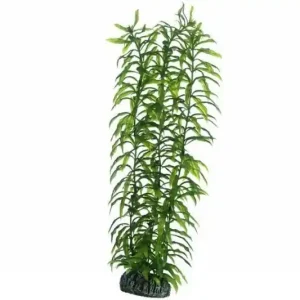 Hobby Heteranthera, 34 cm Angebot