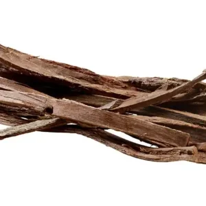Super-Preis Hobby Catappa Bark, Seemandelbaumrinde, 12 St.