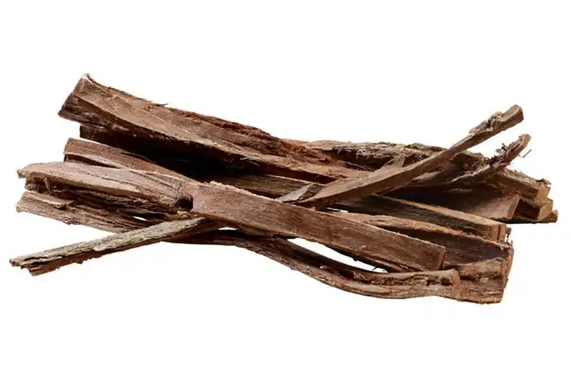 Super-Preis Hobby Catappa Bark, Seemandelbaumrinde, 12 St.