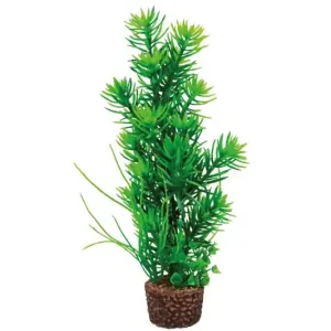 Hobby Flora Stone 5 Preiswert