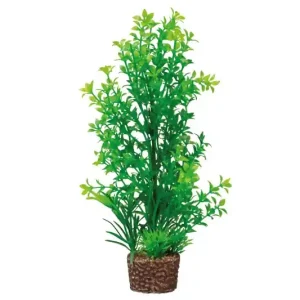 Hobby Flora Stone 6 Versand Am Gleichen Tag