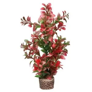 Hobby Flora Stone 7 Top-Preis