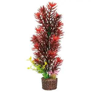 Hobby Flora Stone 8 Saisonangebot