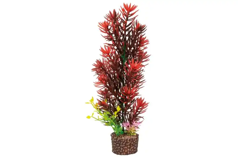 Hobby Flora Stone 8 Saisonangebot