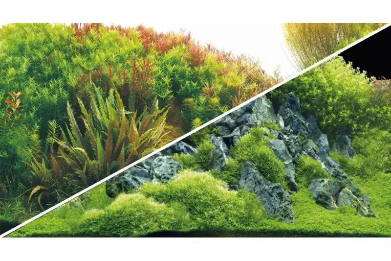 Hobby Rückwandfolie Planted River/Green Rocks, 120 cm x 50 cm Top-Seller