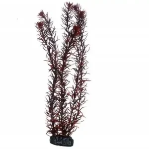 Hobby Eusteralis, 39 cm Sofort Bestellen