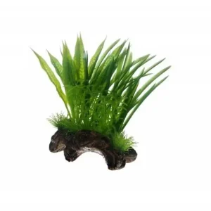 Finale Aktion Hobby Flora Root 2, 17 cm
