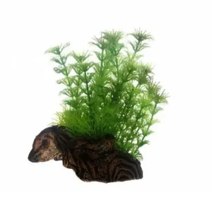 Hobby Flora Root 3, 17 cm Preiswert