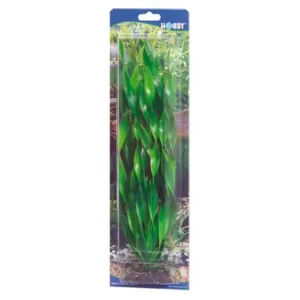 Hobby Vallisneria, 46 cm Neu Im Sortiment