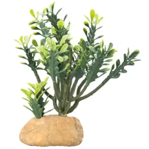 Garantierte Lieferung Hobby Euphorbia M, Kunstpflanze