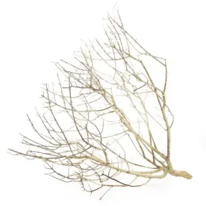 Hobby Desert Bush S, ca. 20-30 cm Sofort Bestellen