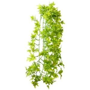 Hobby Climber Ivy, 70 cm Bestseller