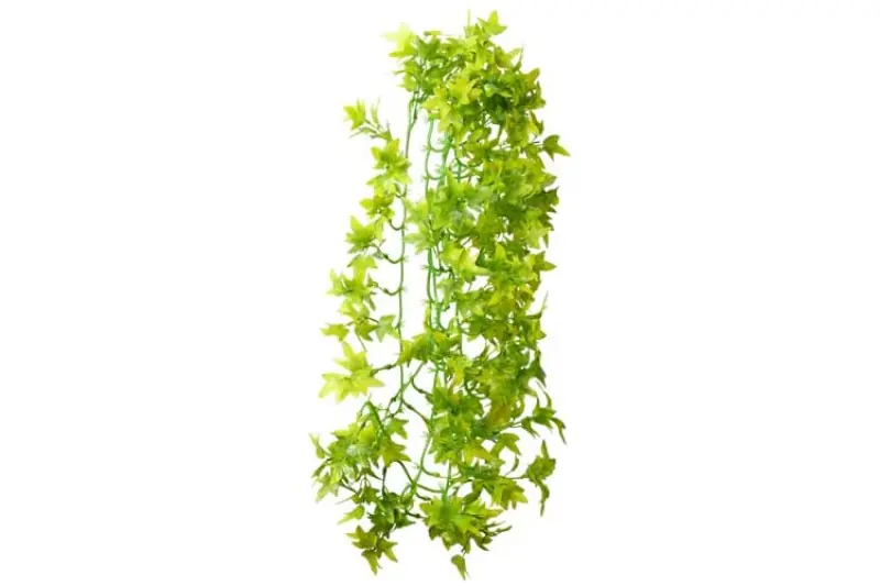 Hobby Climber Ivy, 70 cm Bestseller