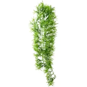 Jetzt Bestellen Hobby Climber Tropica, 70 cm Kunst-Kletterpflanze